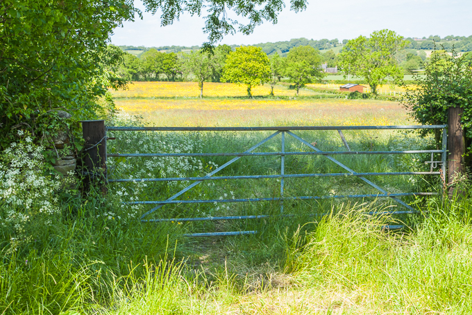 Gates (04)